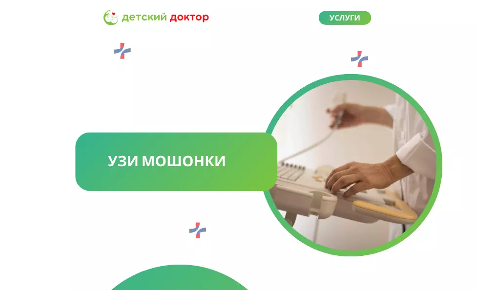 УЗИ мошонки
